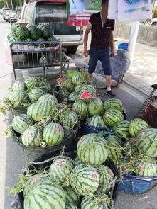 韩城吃瓜事件网红,网红引发的网络狂欢与反思