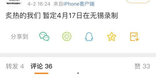 网络吃瓜视频网,揭秘娱乐圈幕后故事