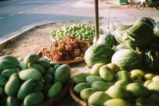 国内吃瓜网地址,一网打尽娱乐圈最新动态