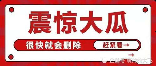 网红吃瓜八卦网站大全,揭秘全网热门网红吃瓜八卦网站大全