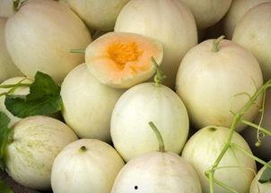 网红吃白兰瓜视频,口感惊艳引网友热议！